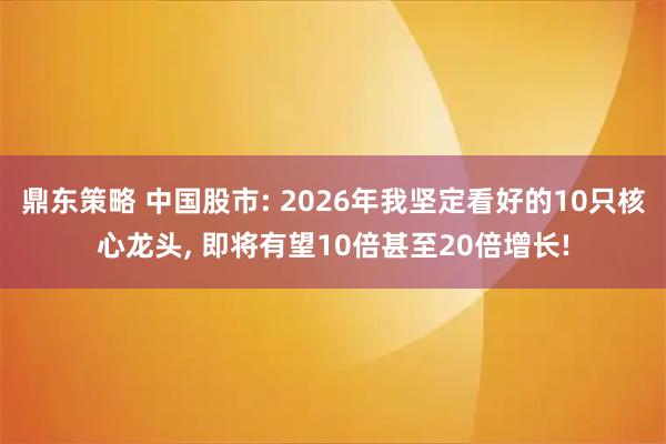 鼎东策略 中国股市: 2026年我坚定看好的10只核心龙头, 即将有望10倍甚至20倍增长!